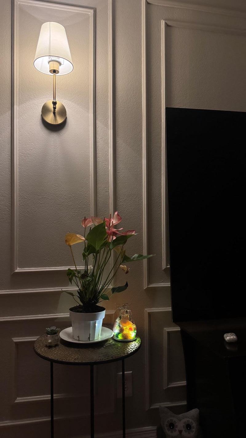 DIY wall molding kit installed in real home showing decorative wall panel result-Decorative setup with a plant, small table, and wall lamp in a room.